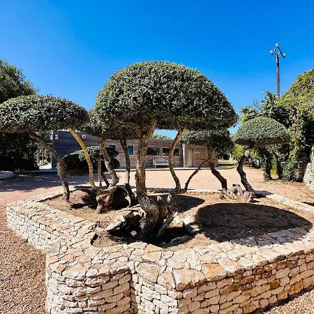 Gioia- Charme Et Sérénité Villa Bonifacio (Corsica)